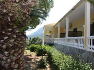 Apartament Dimitra *